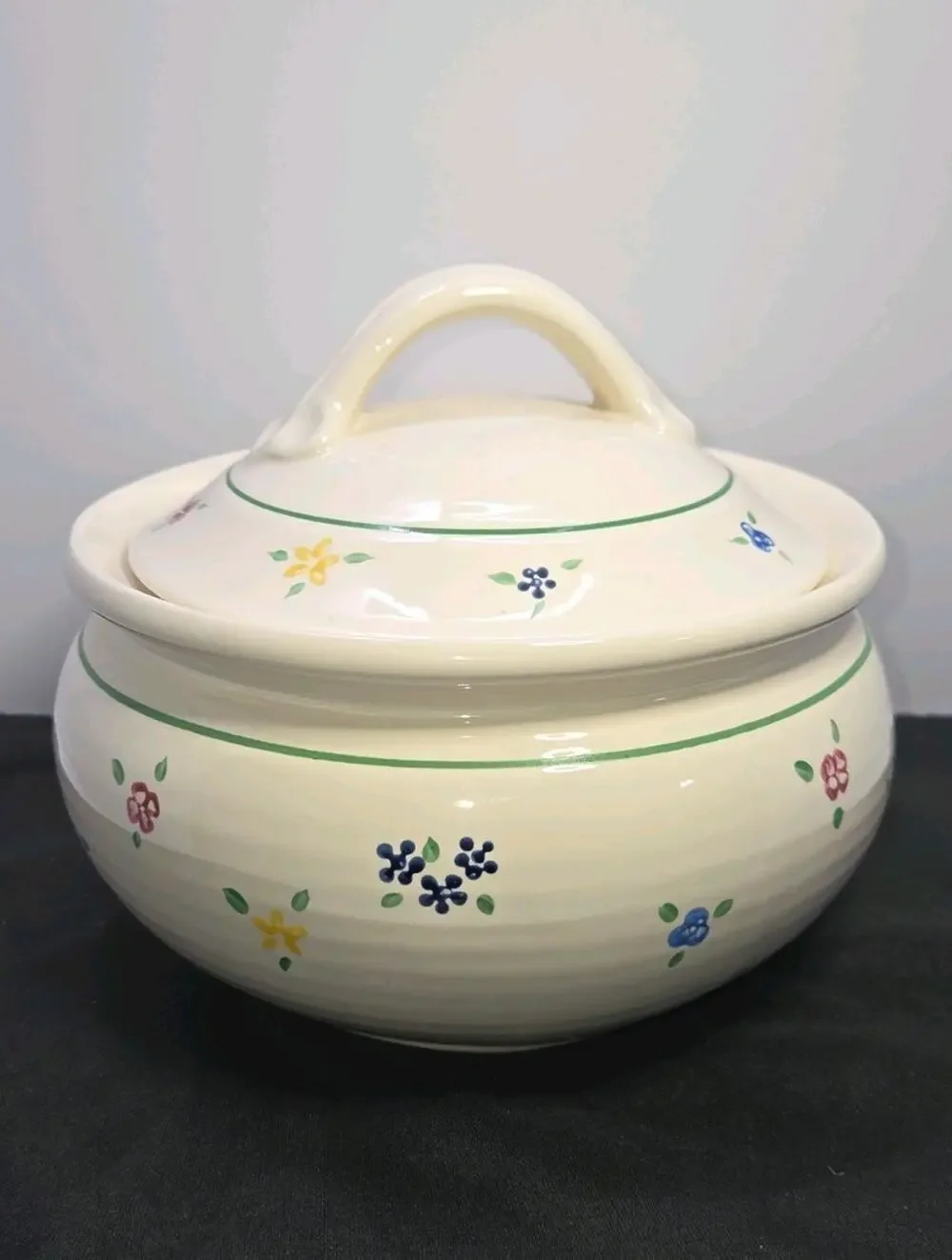 Vintage Pfaltzgraff Vickie Hanson Spectrum 3 Qt Round Covered Casserole Dish Lid